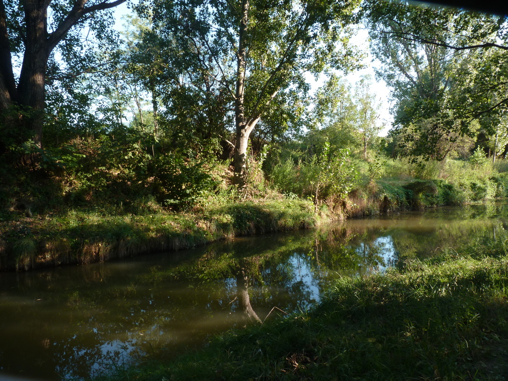 No s'ha trobat l'arxiu